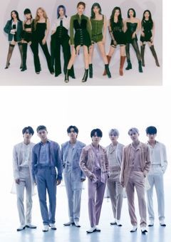 アイドルとアイドルの恋は、してもいいのですか、、、、