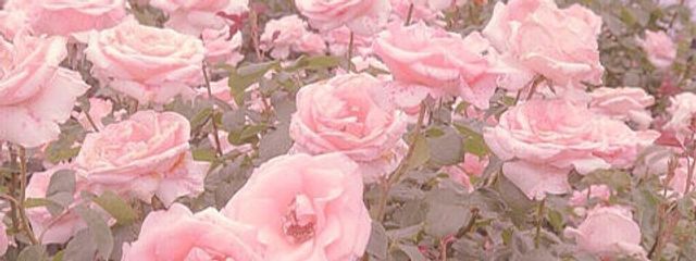 roadsさんの壁紙画像