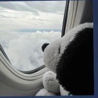 ｱﾂﾞｷ@nagaseloveさんのアイコン画像