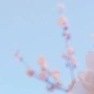 fumouさんのアイコン画像