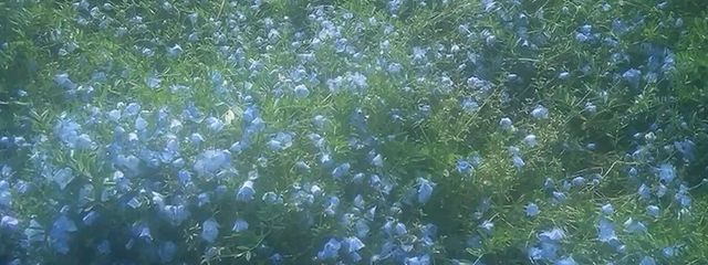 &nbsp;&nbsp;&nbsp;&nbsp;&nbsp;&nbsp;&nbsp;海さんの壁紙画像