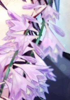 🎤💙🐧×💚🦈🎮