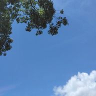 八千代 ―はちよ― さんのアイコン画像