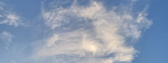 奈津美さんの壁紙画像