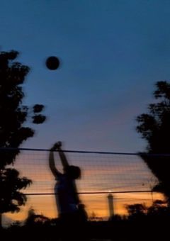 バレーボール最強兄妹.