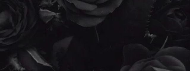 unknownさんの壁紙画像