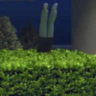 ゆらうさぎ。さんのアイコン画像