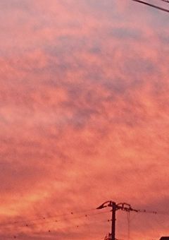 実話編集記 【実ｼ兄者】