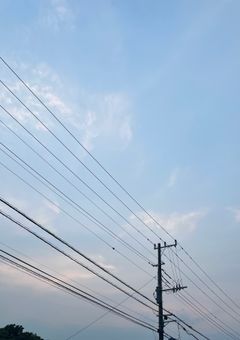 貴方を完食します