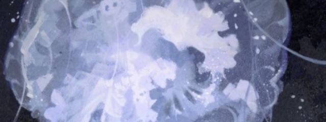 unknownさんの壁紙画像