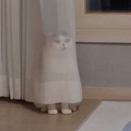 りゆ︎🤍さんのアイコン画像