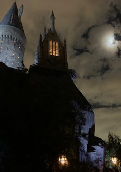 一夜限りの一時を