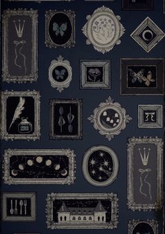 独り言⋆⸜♱⸝‍⋆