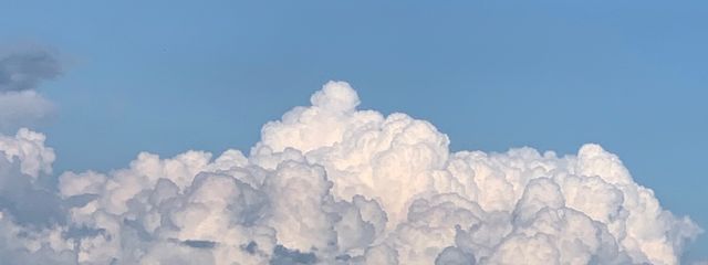 edさんの壁紙画像