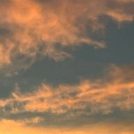 Nico.さんのアイコン画像