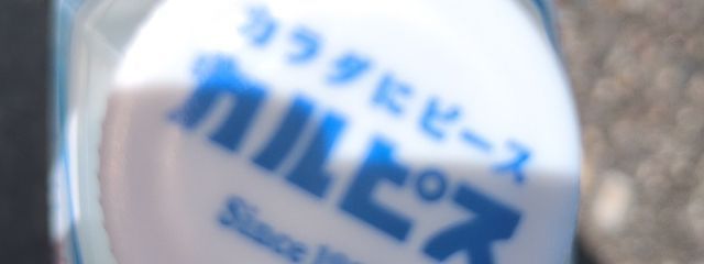 文系さんの壁紙画像