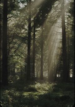 僕らは君を愛せない