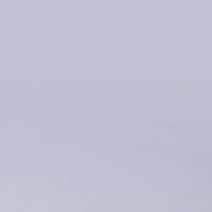 たまごさんのアイコン画像