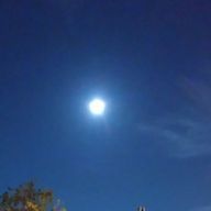 ririnrararaさんのアイコン画像