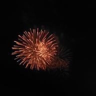 🐝さんのアイコン画像