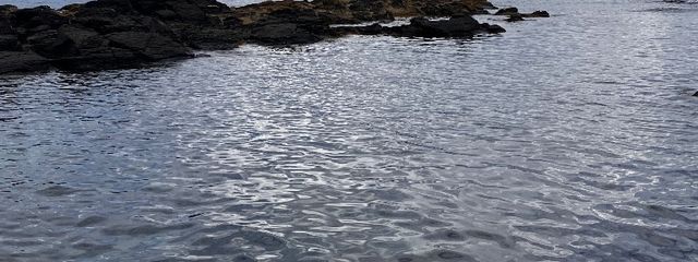 田中さんの壁紙画像