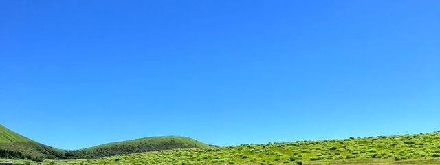 ららむむさんの壁紙画像