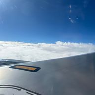 さくらさんのアイコン画像