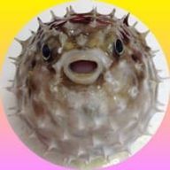 ゆうさんのアイコン画像