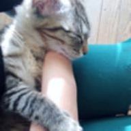 amiさんのアイコン画像