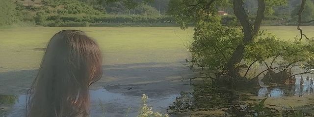 らむさんの壁紙画像
