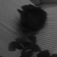 彼方さんのアイコン画像
