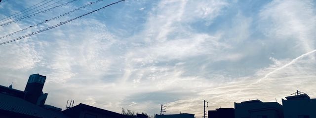 小羽（引退）さんの壁紙画像