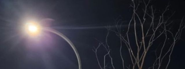 🤍ᗰIᗰI🖤さんの壁紙画像