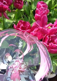 　　ん ゅむ .　の　推活 𝚛𝚘𝚘𝚖　