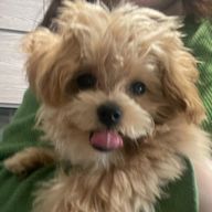 soranoさんのアイコン画像