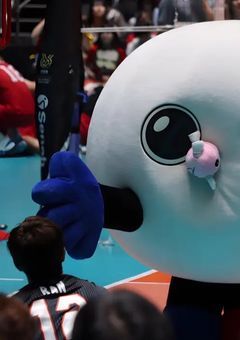 前まで犬と猫だったやつが突然イケメンになりました