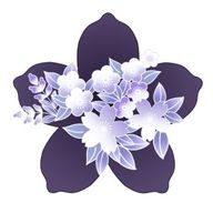 桜夢 -omu-さんのアイコン画像