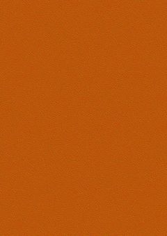 俺を助けてくれたのは、あなたでした