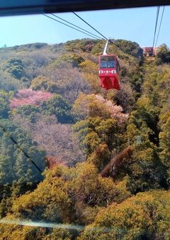 ボーイスカウトの事知ってほしい！