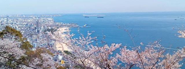 ✽りん✽さんの壁紙画像