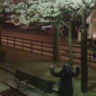 み お ぴ く ໒꒱さんのアイコン画像