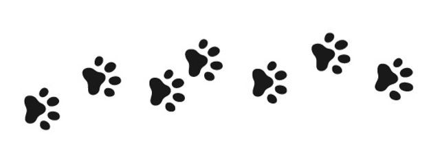 ごろにゃんこ🐾🐱🍀さんの壁紙画像