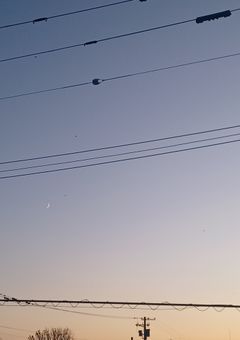 あなたのためならなんだって