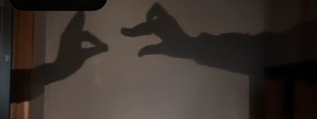 JYURA🦖さんの壁紙画像