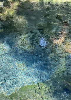 女城主は今日も家来八人とドタバタしてる