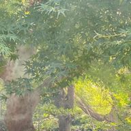 優妃さんのアイコン画像