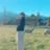 くんくんさんのアイコン画像