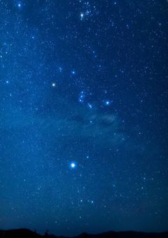 リリーとシリウスの子供です