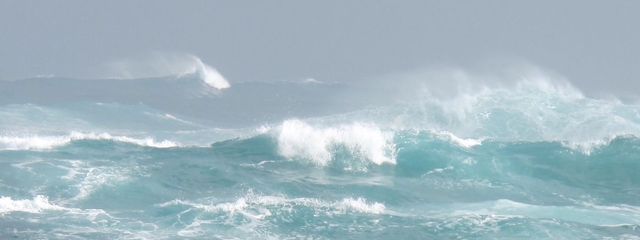 myu_minさんの壁紙画像