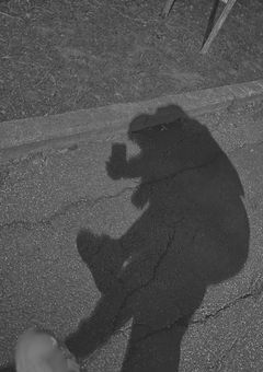 愛して欲しい。だけ